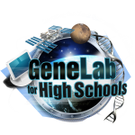 GL4HS Logo